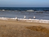 swinemuende-polen-urlaub-13